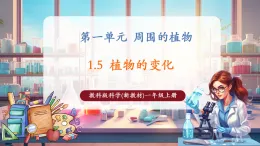 【核心素養(yǎng)大單元】教科版科學一年級上冊1.5《植物的變化》單元整體設(shè)計+課件+教案