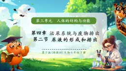 【核心素養(yǎng)優(yōu)質(zhì)課】冀少版生物七年級下冊 3.4.2尿液的形成和排出（課件+同步教案+導學案+分層作業(yè)）