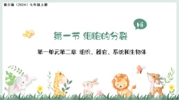 1.2.1細(xì)胞的分裂（教學(xué)課件）——初中生物學(xué)冀少版（2024）七年級上冊