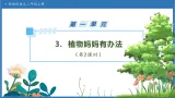 【任务型备课】统编版语文二上-3. 植物妈妈有办法（第2课时）（课件+教案+习题+知识清单）