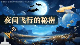 【任務(wù)型】統(tǒng)編版語(yǔ)文四上 6《夜間飛行的秘密》（課件+教案+課文朗讀）