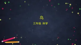 (湘科版)三年級科學(xué)上冊2.3 鳥-課件