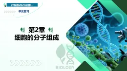 第2章 细胞的分子组成（复习课件）-2025-2026学年高中生物必修1（沪科技版2020）