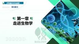 第1章 走进生物学（复习课件）-2025-2026学年高中生物必修1（沪科技版2020）