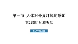 初中生物新人教版八年級(jí)上冊(cè)第四單元第六章第一節(jié)第二課時(shí) 耳和聽覺教學(xué)課件（2025秋）