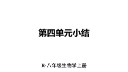 初中生物新人教版八年級(jí)上冊(cè)第四單元單元小結(jié)教學(xué)課件（2025秋）