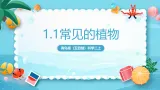 【新教材】青岛版（五四学制）（2024）二年级上册1.1《常见的植物》课件