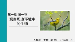 1.1.1觀察周邊環(huán)境中的生物(課件)2025-2026學(xué)年人教版七年級生物上冊