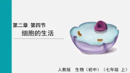 1.2.4細(xì)胞的生活(課件)2025-2026學(xué)年人教版七年級生物上冊