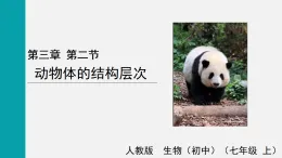 1.3.2動物體的結(jié)構(gòu)層次(課件)2025-2026學(xué)年人教版七年級生物上冊