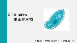 1.3.4單細(xì)胞生物(課件)2025-2026學(xué)年人教版七年級生物上冊