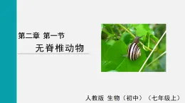 2.2.1無脊椎動物(課件)2025-2026學(xué)年人教版七年級生物上冊