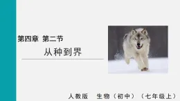 2.4.2從種到界(課件)2025-2026學(xué)年人教版七年級生物上冊