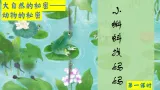小蝌蚪找妈妈  课件