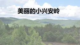 統(tǒng)編版小學(xué)語文三年級(jí)上冊(cè)課件《20 美麗的小興安嶺》