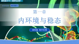 第一章 内环境与稳态（复习课件） -2025-2026学年高中生物选择性必修1（浙科版2019）