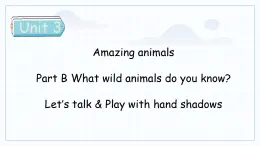 英語人教PEP版（2024）3年級上冊Unit 3 Amazing animals Part B 課件03