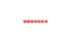 小學(xué)科學(xué)新湘科版三年級上冊1.4觀察物體的體積教學(xué)課件（2025秋）