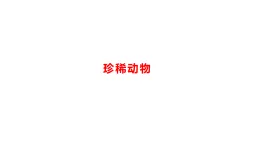小學(xué)科學(xué)新湘科版三年級上冊3.15珍稀野生動物教學(xué)課件（2025秋）