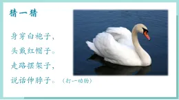 新人音版小學(xué)音樂一上4-6《詠鵝》課件