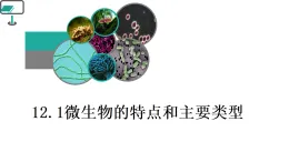 初中  生物  北師大版（2024）  八年級上冊（2024）  第5单元12.1 微生物的特点和主要类型 課件