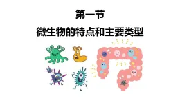 初中  生物  北師大版（2024）  八年級上冊（2024）  第5单元12.1 微生物的特点和主要类型 課件