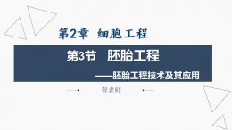 2.3.2 胚胎工程技術(shù)及其應(yīng)用-【省心備課】2024-2025學(xué)年高二生物同步教學(xué)精優(yōu)課件（人教版2019選擇性必修3）