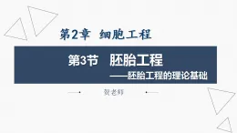 2.3.1 胚胎工程的理論基礎(chǔ)-【省心備課】2024-2025學(xué)年高二生物同步教學(xué)精優(yōu)課件（人教版2019選擇性必修3）