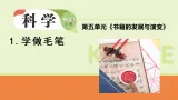 2025年大象版三年级科学上册 5.1 学做毛笔（教案+课件）