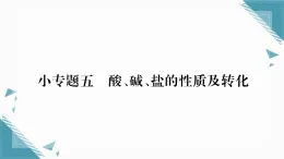 2025年人教版（2024）初中化學(xué)九年級下冊第10單元小專題5  酸、堿、鹽的性質(zhì)及轉(zhuǎn)化習(xí)題課課件（含答案）