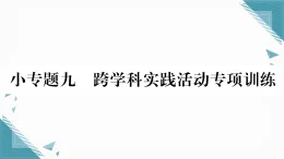 2025年人教版（2024）初中化學(xué)九年級下冊第10單元小專題9  跨學(xué)科實(shí)踐活動專項(xiàng)訓(xùn)練習(xí)題課課件（含答案）