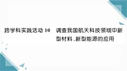 2025年人教版（2024）初中化學(xué)九年級下冊第11單元跨學(xué)科實(shí)踐活動10  習(xí)題課課件（含答案）