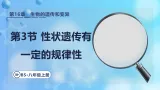 16.3 性状遗传有一定的规律性课件  2025-2026学年北师大版版八年级生物