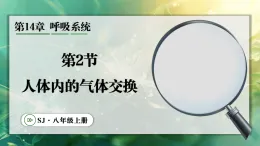 14.2 人体内的气体交换（课件）2025-2026学年苏教版八年级生物上册