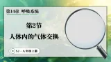 14.2 人体内的气体交换（课件）2025-2026学年苏教版八年级生物上册