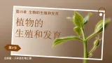 15.3 植物的生殖方式(课件)2025-2026学年北师大生物八年级上册