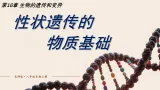 16.2 性状遗传的物质基础(课件)2025-2026学年北师大生物八年级上册