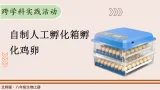 活动二 自制人工孵化箱孵化鸡卵(课件)2025-2026学年北师大生物八年级上册