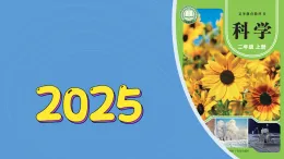 3《植物与阳光》（课件）科学二年级上册（青岛版2024）