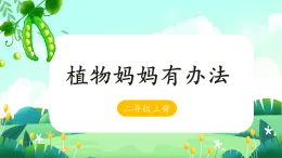 3 植物妈妈有办法 -课件-2025-2026学年度统编版语文二年级上册