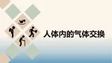 5.14.2 人体内的气体交换（课件）-初中生物苏教版（2024）八年级上册
