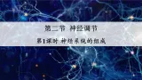 人教版八年级生物上册课件第四单元第六章《神经系统的组成》