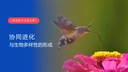 6.4協(xié)同進(jìn)化與生物多樣性的形成課件-2025-2026學(xué)年高一下學(xué)期生物人教版必修2