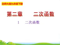 北師大版九年級數(shù)學(xué)下冊第二章二次函數(shù)2.1二次函數(shù)課件
