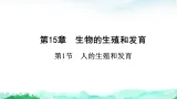 北师大版八年级生物上册第6单元生命的延续第15章生物的生殖和发育第1节人的生殖和发育课件