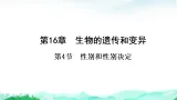 北师大版八年级生物上册第6单元生命的延续第16章生物的遗传和变异第4节性别和性别决定课件