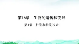 北師大版八年級生物上冊第6單元生命的延續(xù)第16章生物的遺傳和變異第4節(jié)性別和性別決定課件