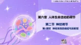八年级上册生物（人教版） 4.6.2.1神经调节  第1课时   课件+教案