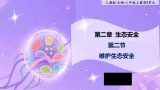 八年级上册生物（人教版）5.2.2维护生态安全    课件+教案