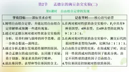 人教版高中生物必修2第1章第2節(jié)孟德?tīng)柕耐愣闺s交實(shí)驗(yàn)(二)第1課時(shí)自由組合定律的發(fā)現(xiàn)課件+檢測(cè)含答案(教師用)